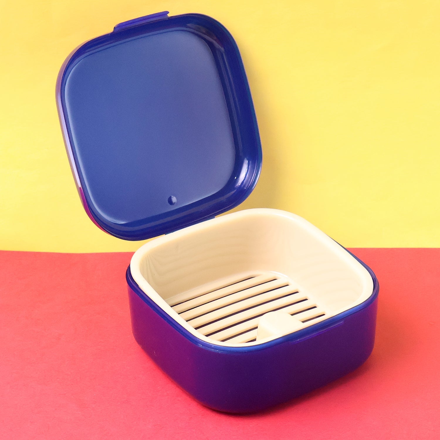 Blue Oblivion Multi-Purpose Storage Box with Lid, DENTURE CASE (1 Pc)
