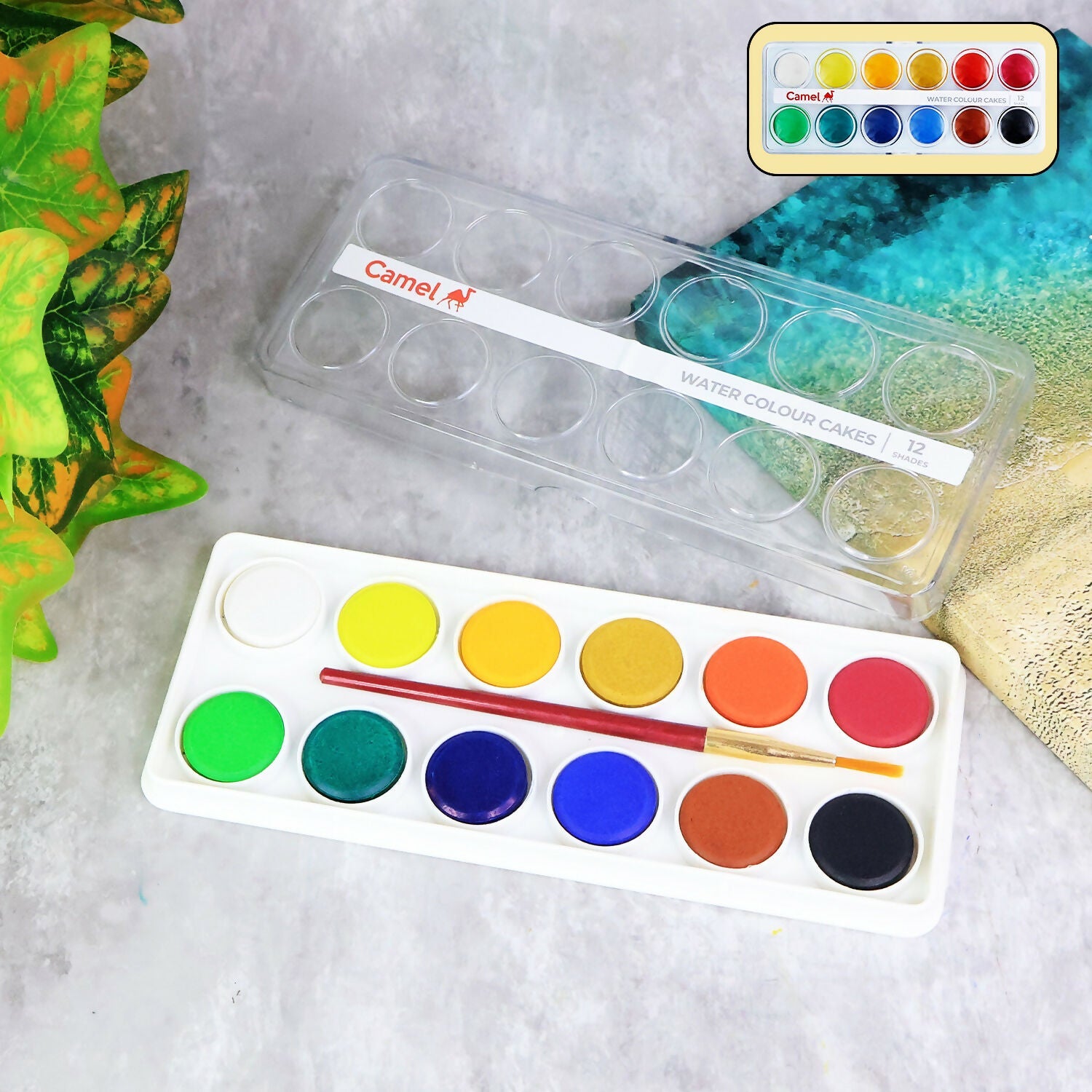 Camel Water Colour Cakes 12 Bright Shades with Free Brush