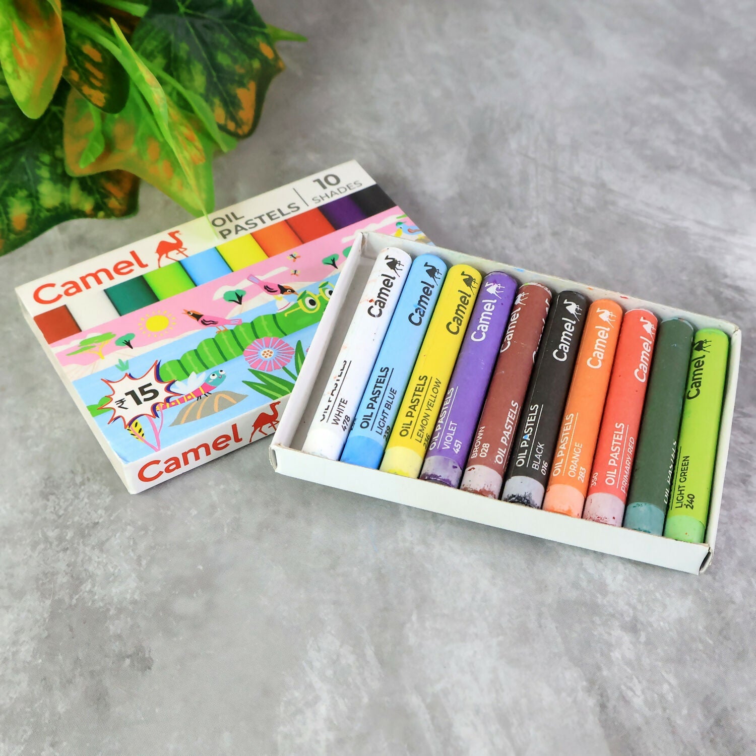 Camel Oil Pastels – 10 Assorted Shades (Compact Colouring Set for Kids & Students)