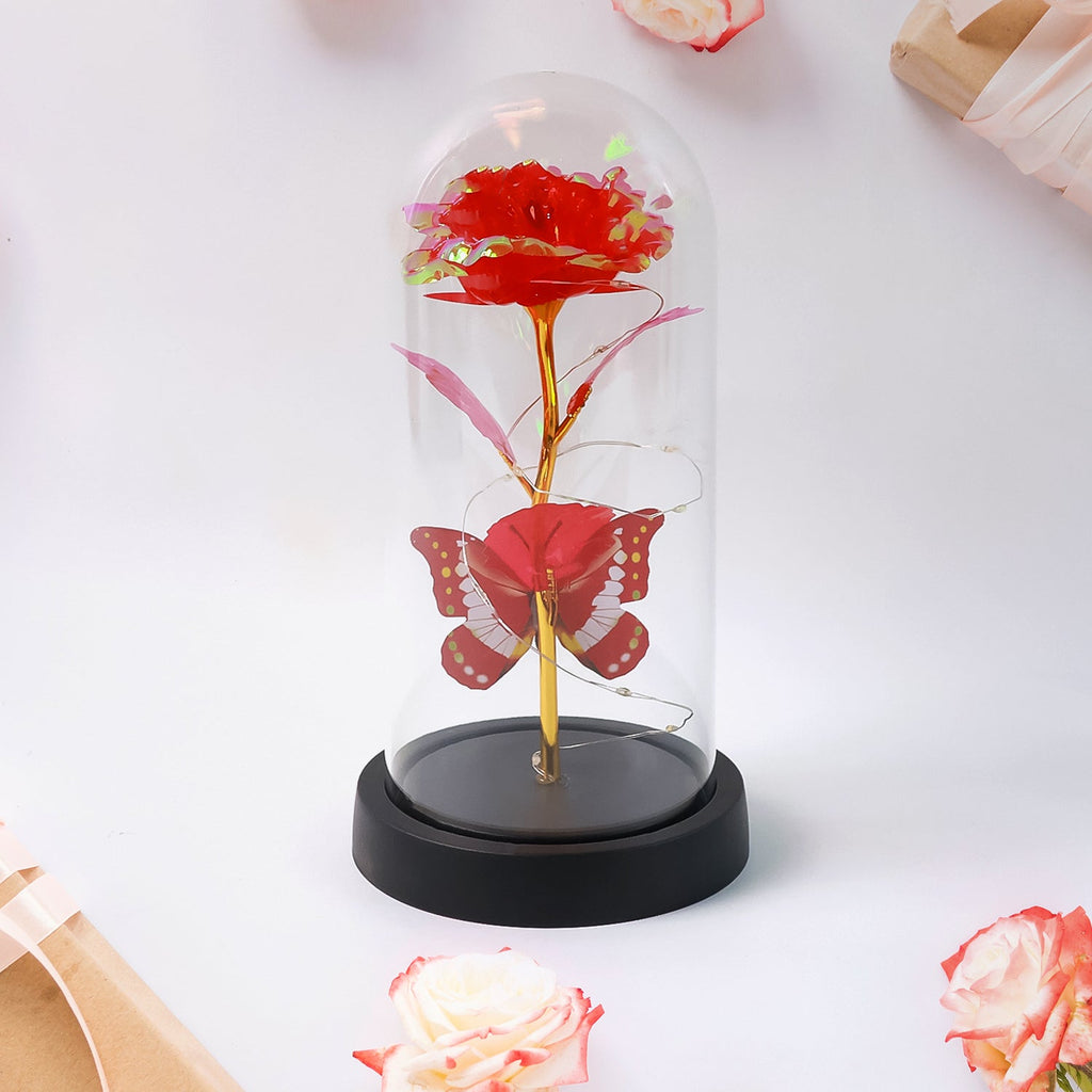 Elegant LED Eternal Rose in Plastic Dome (1 Pc / Battery Not included)