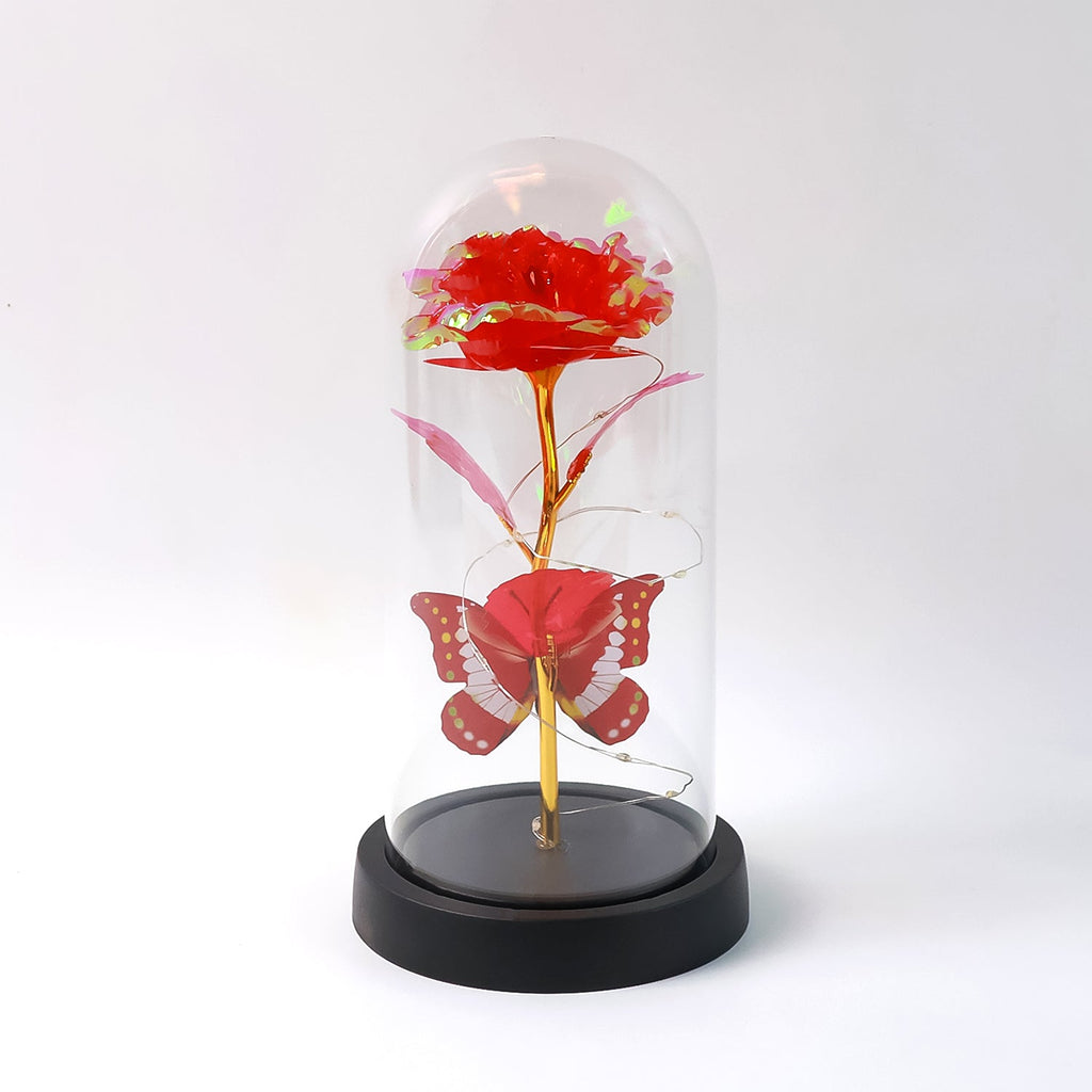 Elegant LED Eternal Rose in Plastic Dome (1 Pc / Battery Not included)