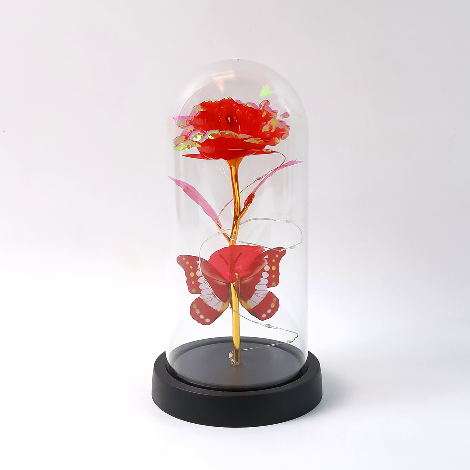 Elegant LED Eternal Rose in Plastic Dome (1 Pc / Battery Not included)