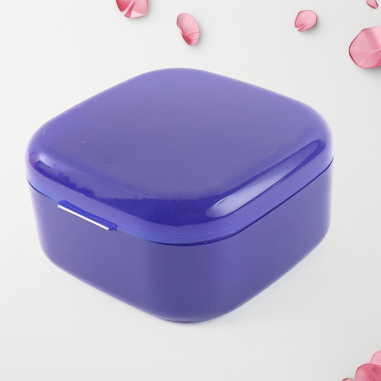 Blue Oblivion Multi-Purpose Storage Box with Lid, DENTURE CASE (1 Pc)