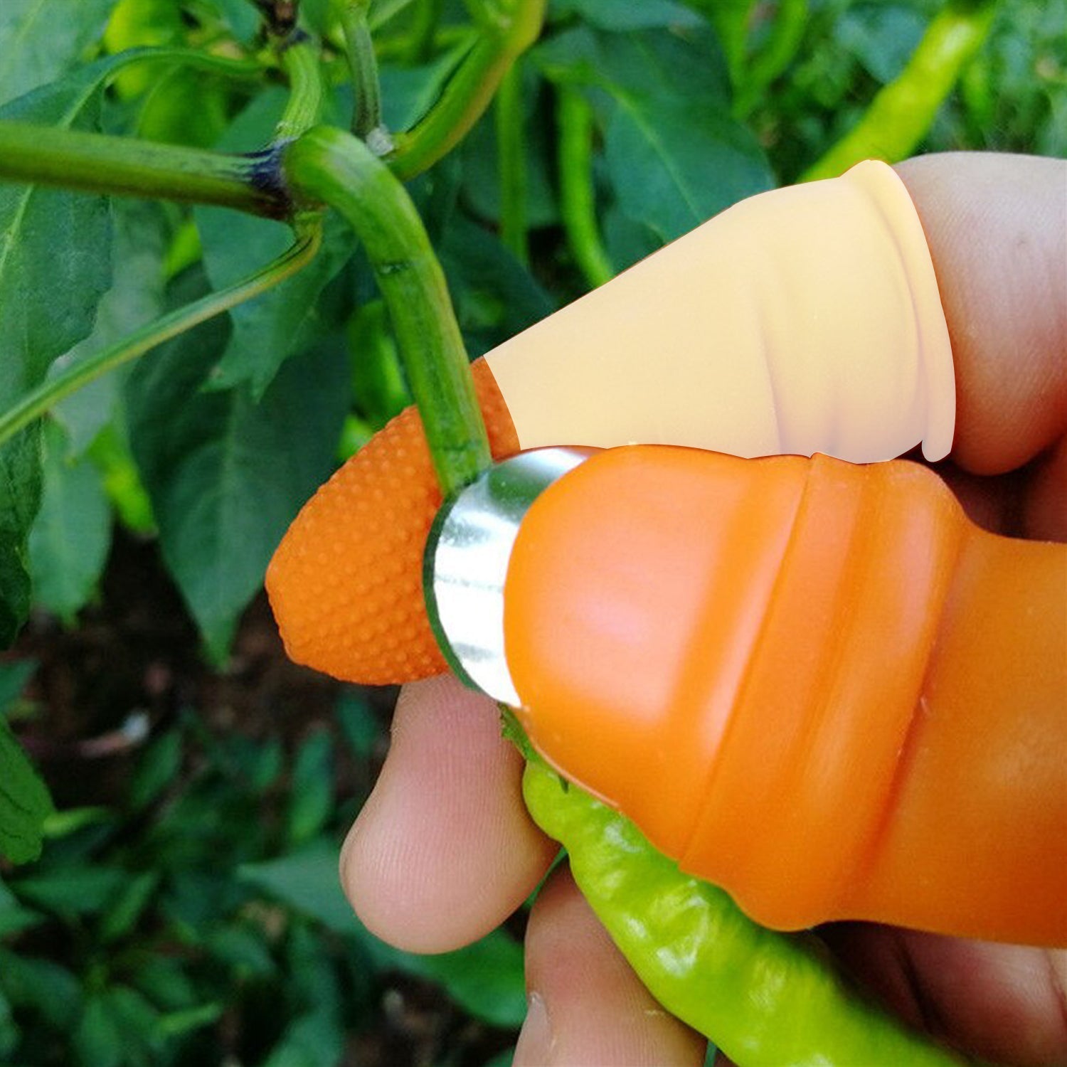 1 Pair V Thumb Cutter with Box – Handy Peeler for Fruits & Vegetables, Kitchen Tool for Home & Office Use
