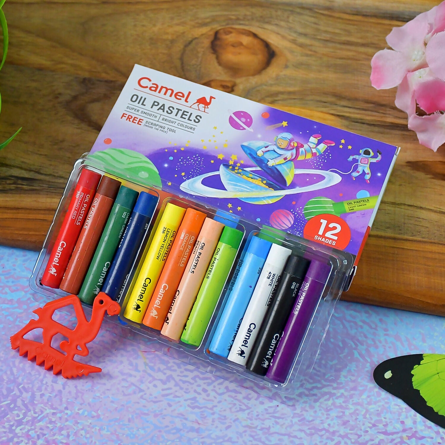 Camel Oil Pastels 12 Assorted Shades with Free Scraping Tool