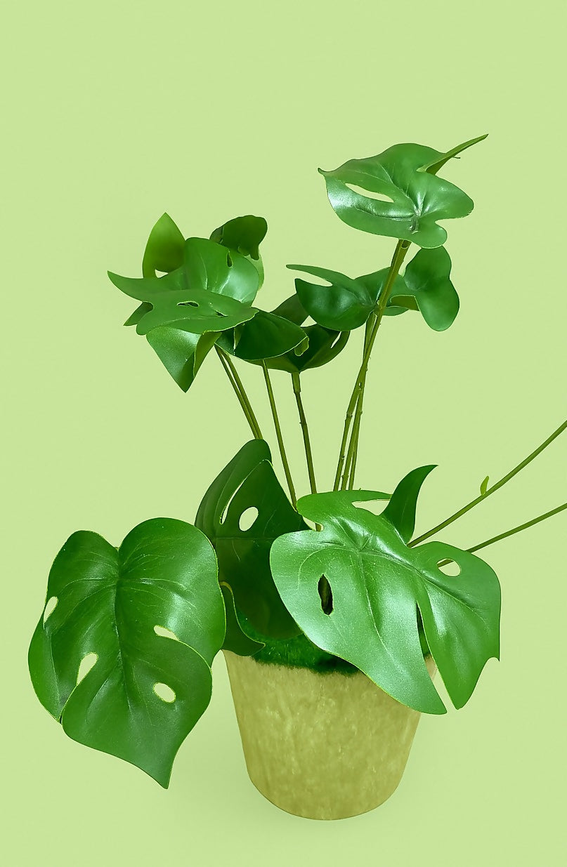 Artificial Monstera Leaf Plant with Beige Velvet Pot – Decorative Faux Swiss Cheese Plant for Home and Office Tabletop Décor