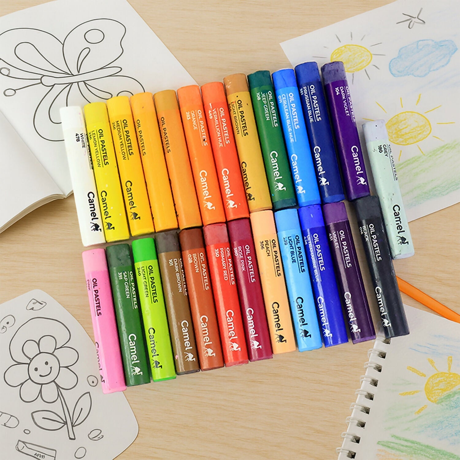 Camel Oil Pastels 25 Assorted Shades with Free Scraping Tool