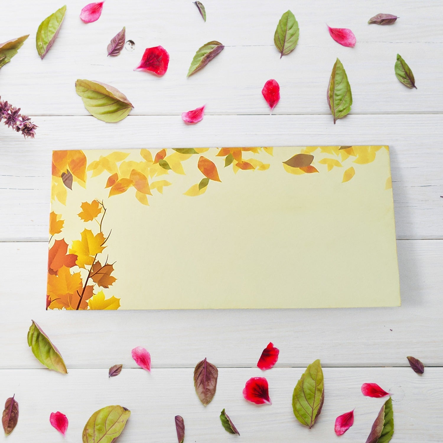Wedding Gift Envelopes Gift Card (10 Pc), Return Gift For Sister ,  Gift