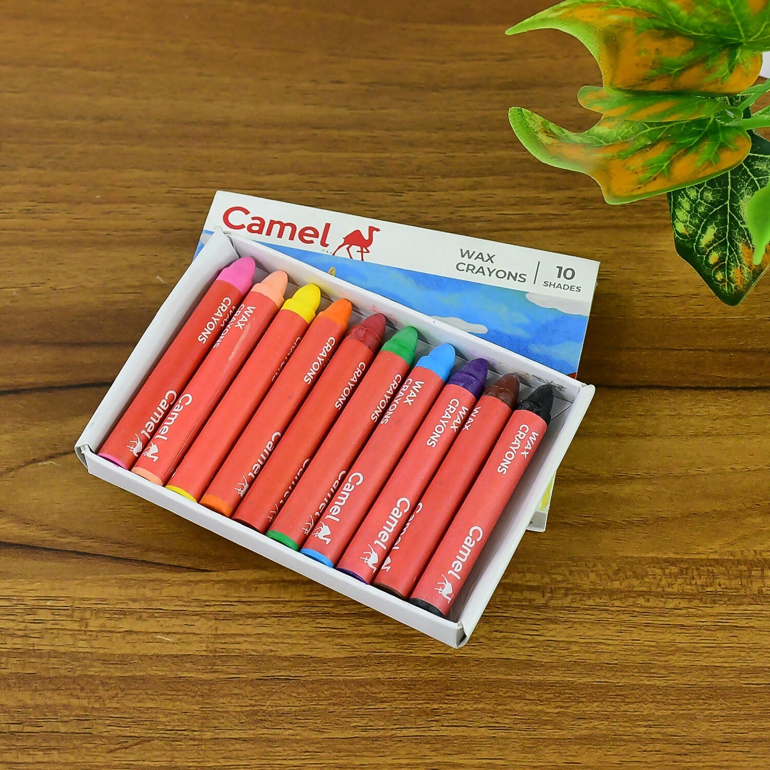Camel Wax Smooth Crayons - 10 Shades