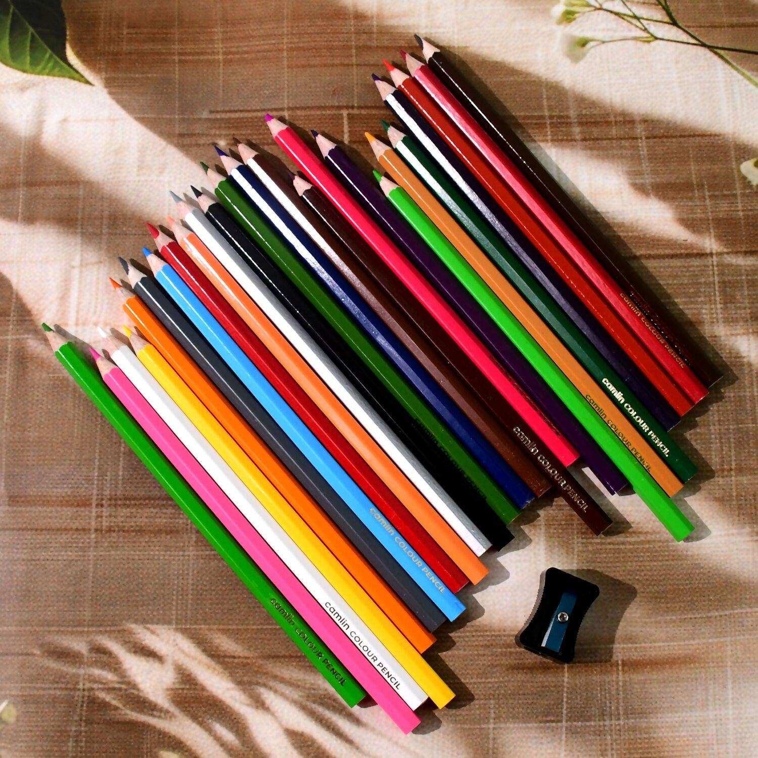 Camlin Colour Pencils – 24 Shades Pack with Free Sharpener