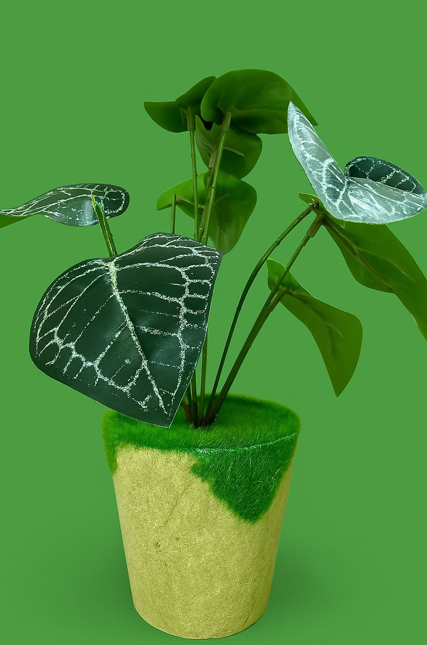 Artificial Alocasia Black Velvet Decorative Plant in Beige Pot – Faux Indoor Plant for Home, Office, and Tabletop Décor