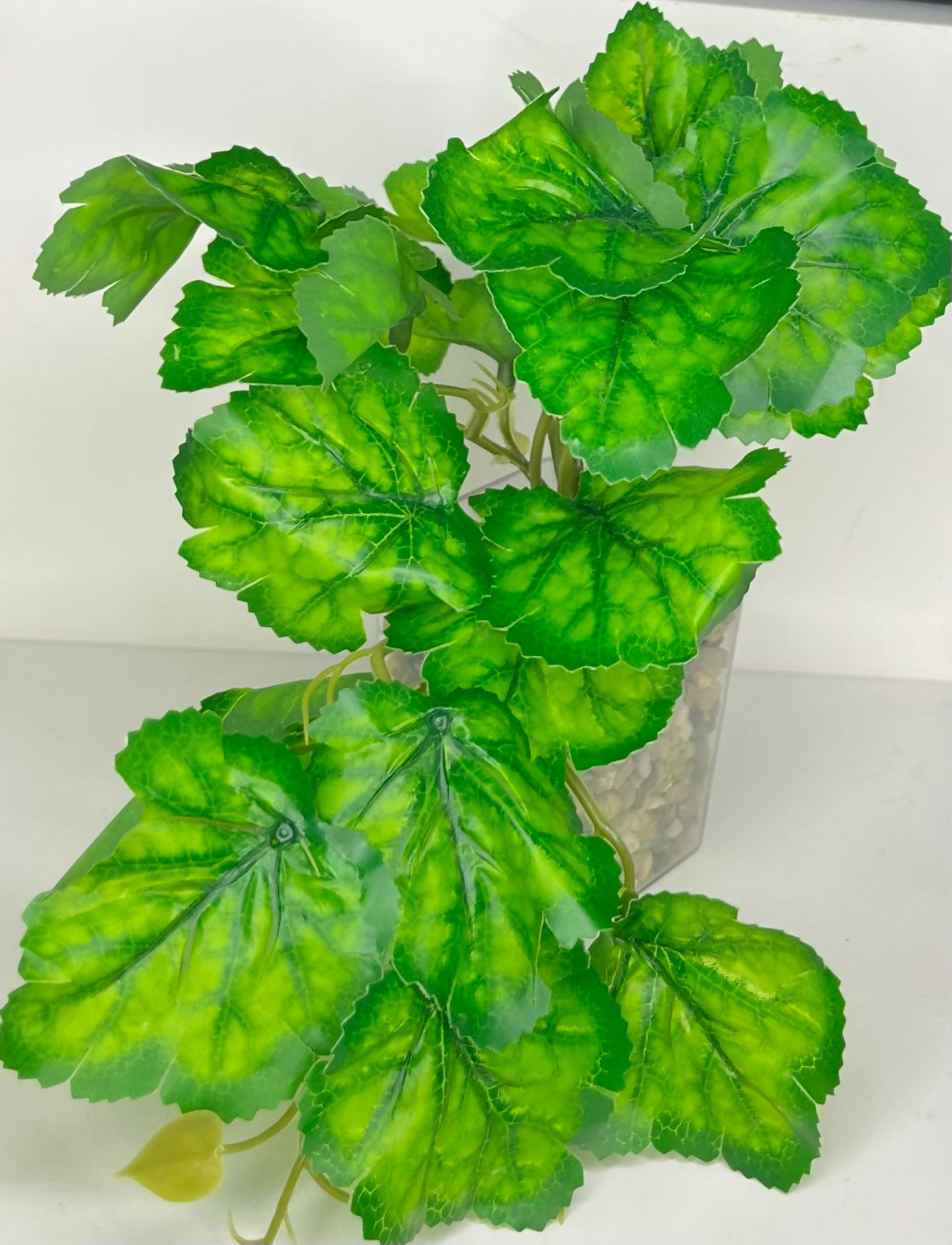 Artificial Green Leaf Plant in Transparent Square Pot with Decorative Pebble Base – Realistic Faux Indoor Plant for Home, Office, or Tabletop Décor – Low Maintenance Decorative Accent for Living Room, Desk, or Shelf Display – Eco-Friendly and Durable