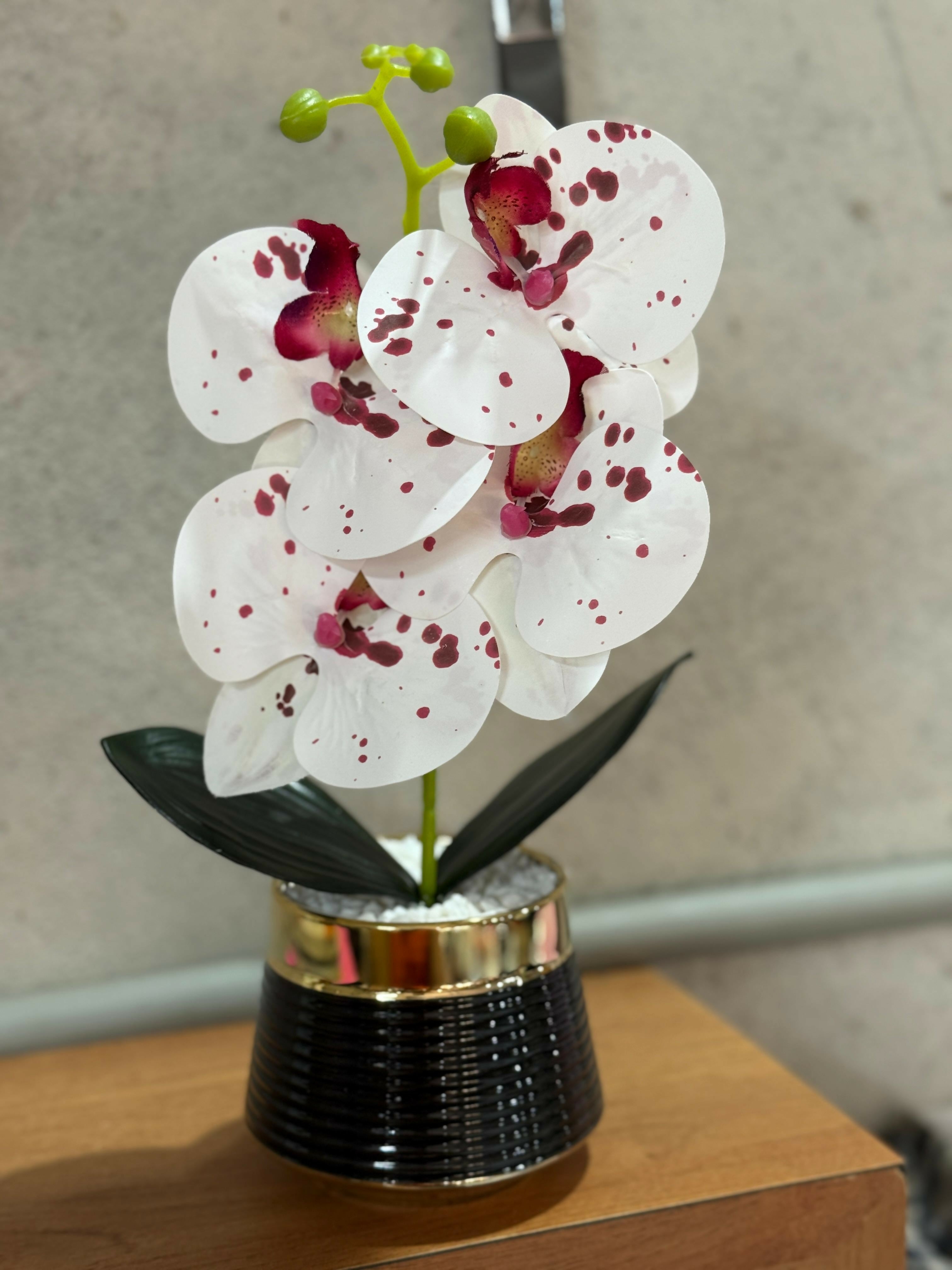 Premium Artificial Spotted White Orchid Flower Plant in Glossy Black Ceramic Pot – Faux Orchid with Red Accents and White Pebbles for Home, Office, Tabletop & Gifting