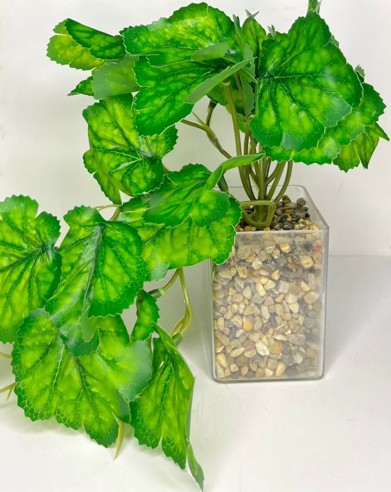 Artificial Green Leaf Plant in Transparent Square Pot with Decorative Pebble Base – Realistic Faux Indoor Plant for Home, Office, or Tabletop Décor – Low Maintenance Decorative Accent for Living Room, Desk, or Shelf Display – Eco-Friendly and Durable