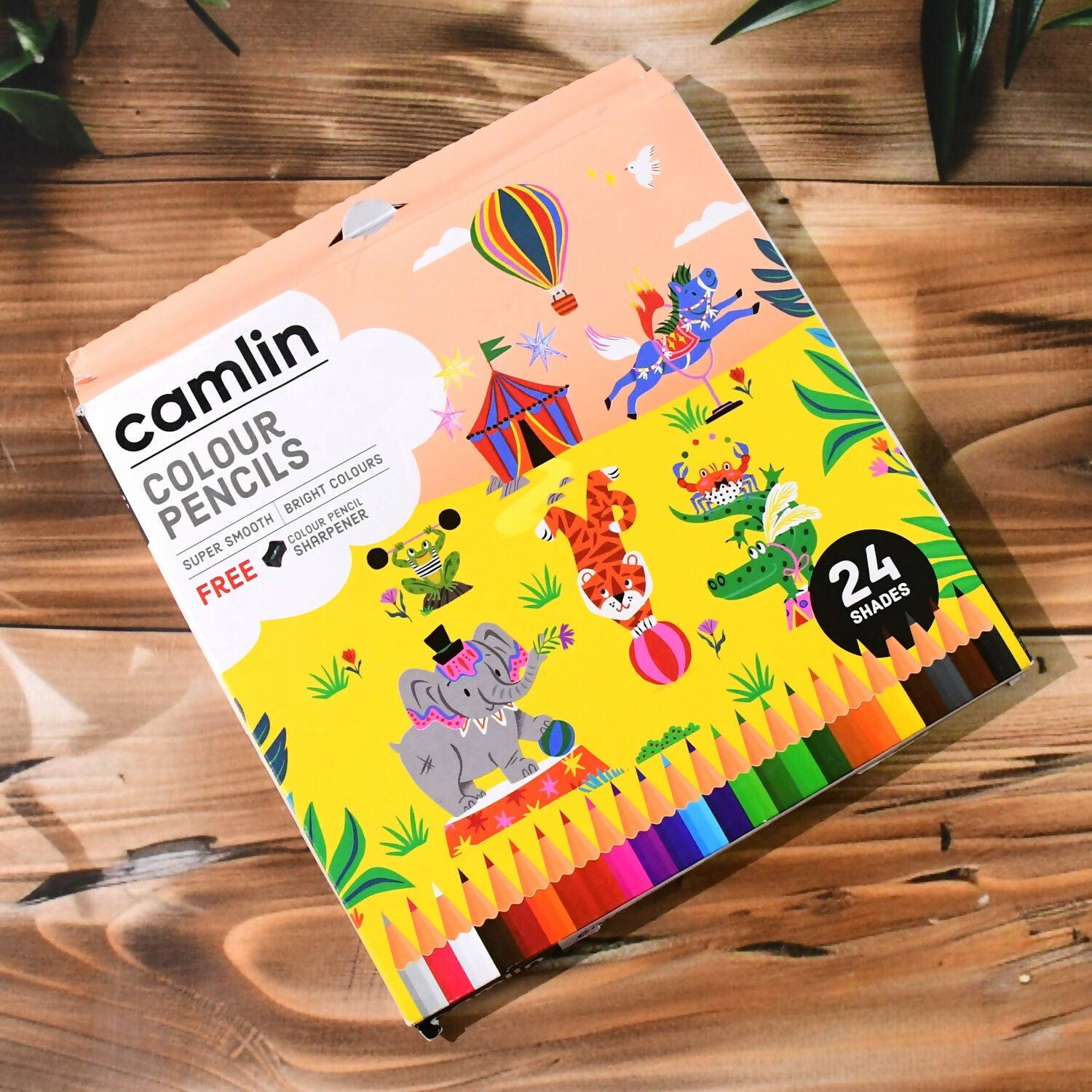Camlin Colour Pencils – 24 Shades Pack with Free Sharpener
