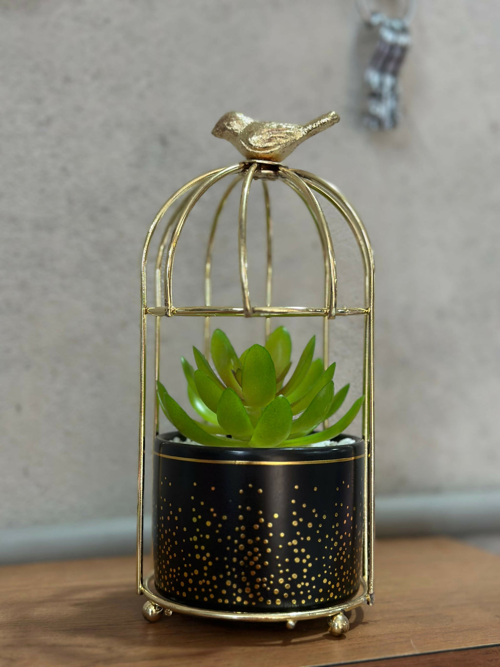 Luxury Black Ceramic Pot with Artificial Succulent in Gold Bird Cage Stand | Modern Home & Office Tabletop Decor | Decorative Planter Gift for Housewarming, Diwali, and Festivals