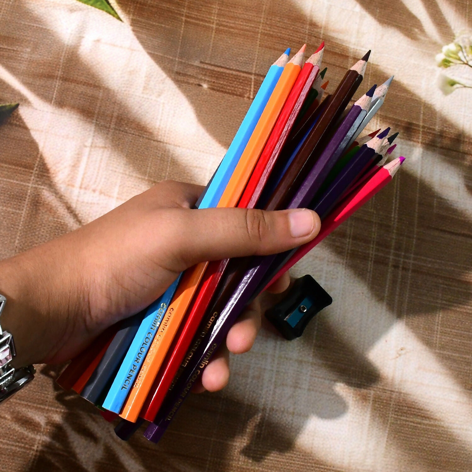 Camlin Colour Pencils – 24 Shades Pack with Free Sharpener