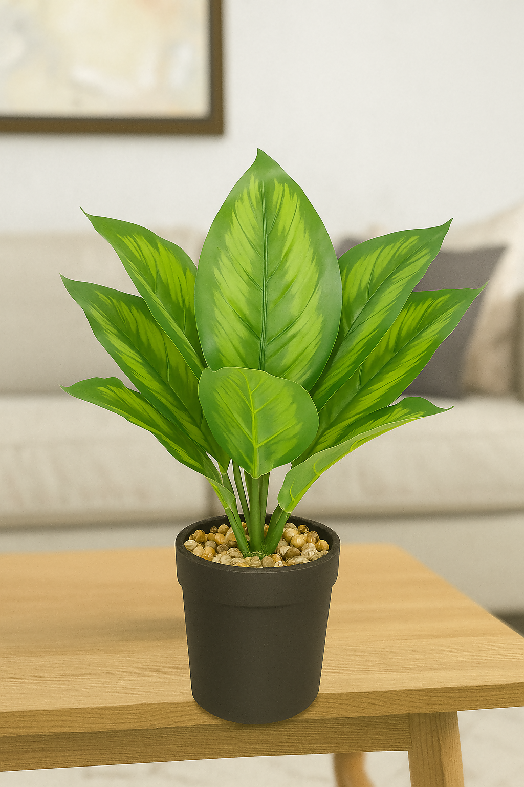 EverGlow Dieffenbachia