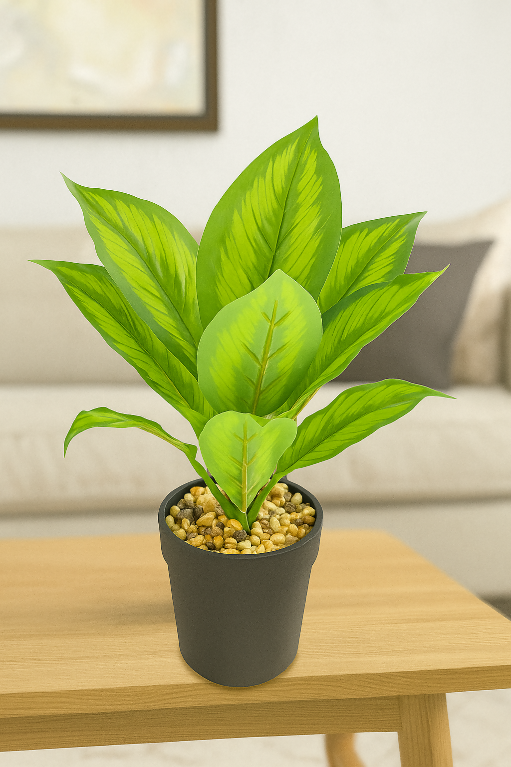 EverGlow Dieffenbachia