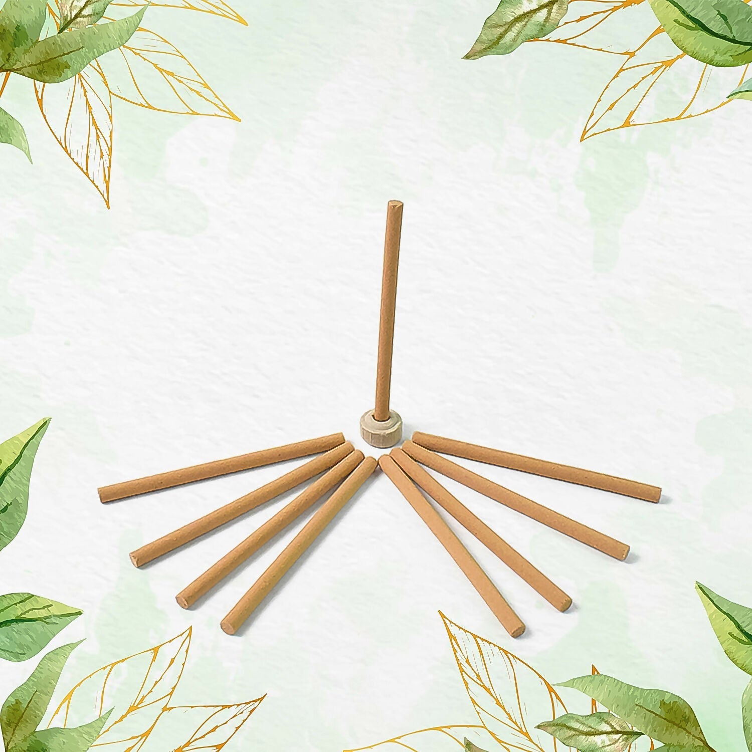 Live Touch Poison Premium Dhoop Stick