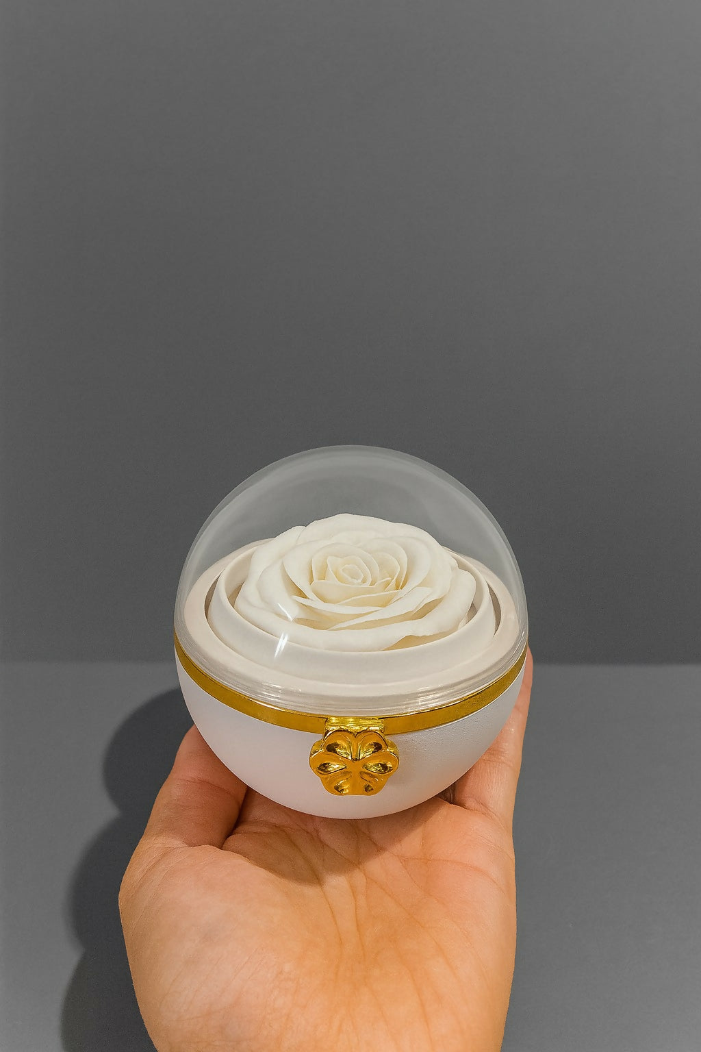 Luxury White Rose Jewelry Box with Transparent Dome – Artificial Rose with Hidden Jewelry Storage, Premium Gift Bag & Box for Women, Elegant Wedding, Anniversary, Valentine’s Day, Birthday & Proposal Gifts