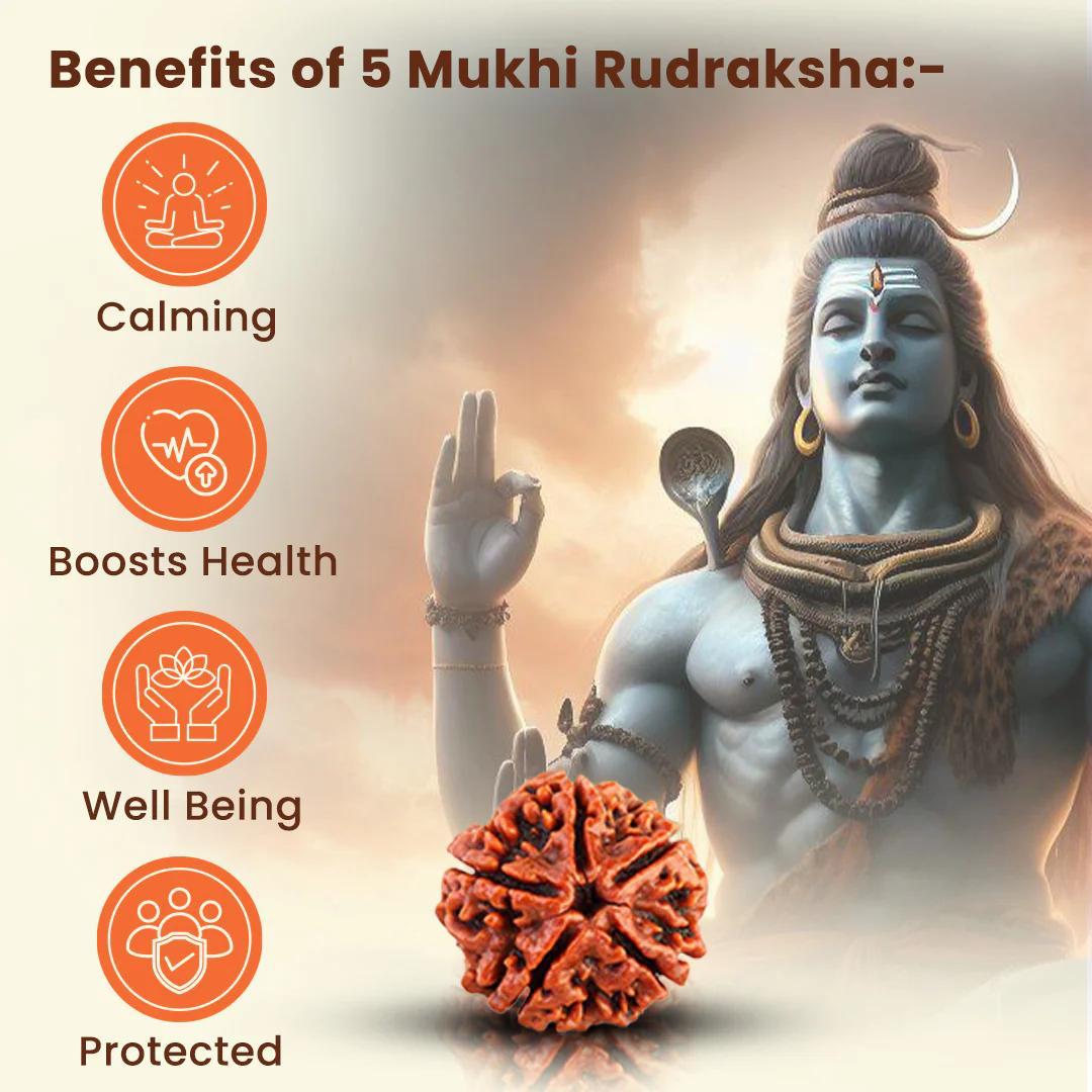 7 Chakra Rudraksha   Bracelet