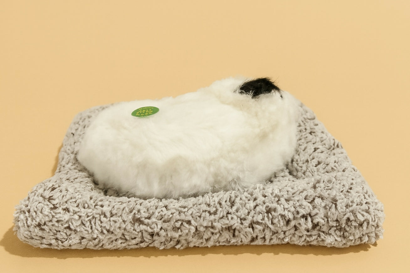 Realistic Sleeping Cat Plush Toy for Car Dashboard – Battery Operated Breathing Kitten Model with Soft Mat – Cute Pet Cat Home Decor for Office, Shelf, or Gifting (Black & White Fur, Decorative)