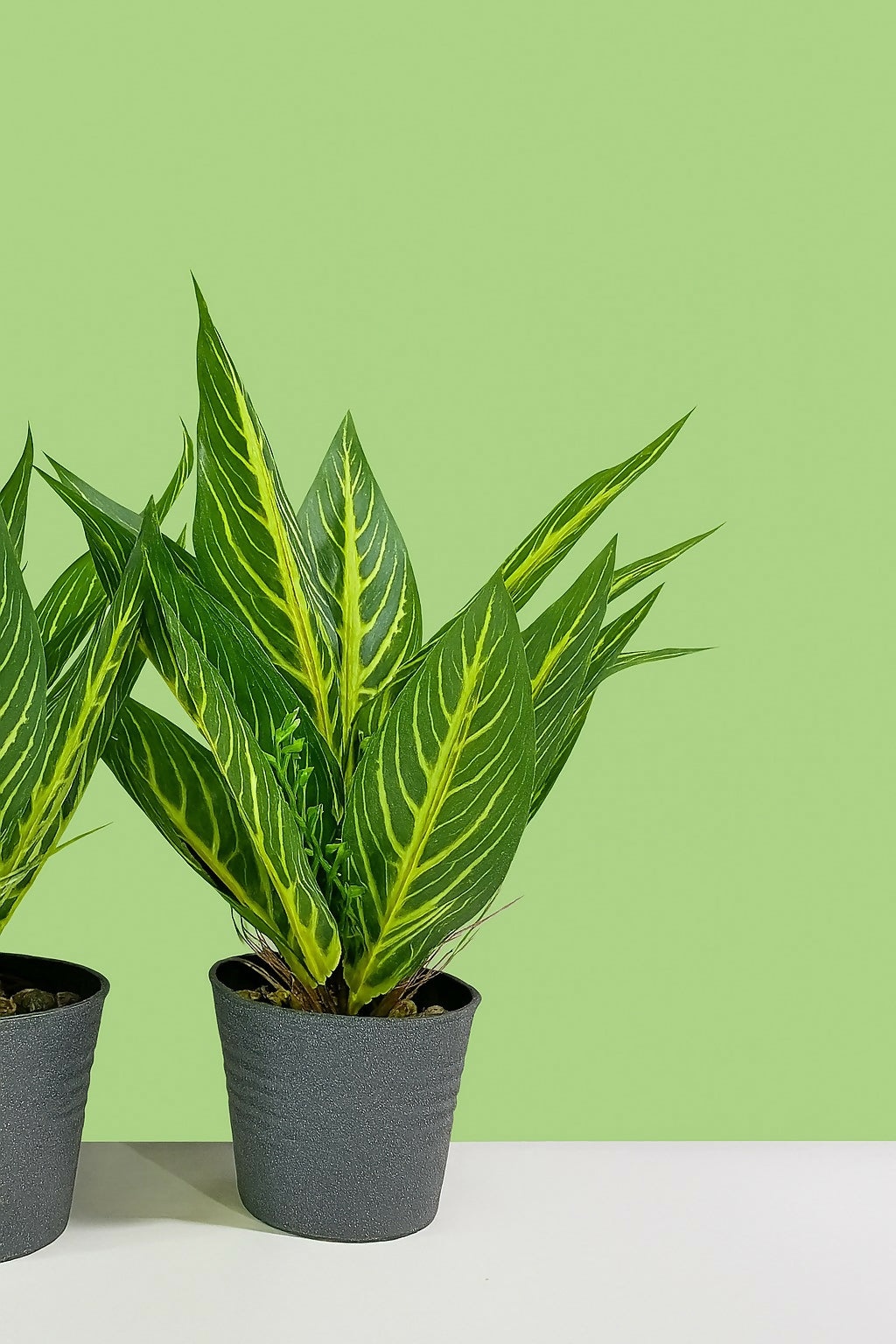 Artificial Zebra Leaf Plant with Black Pot – Realistic Decorative Faux Green Plant for Home, Office, and Tabletop Décor