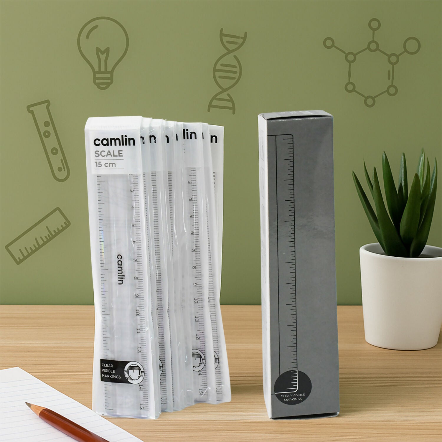 Camlin 15 cm Transparent Plastic Scale Pack of 10 Units