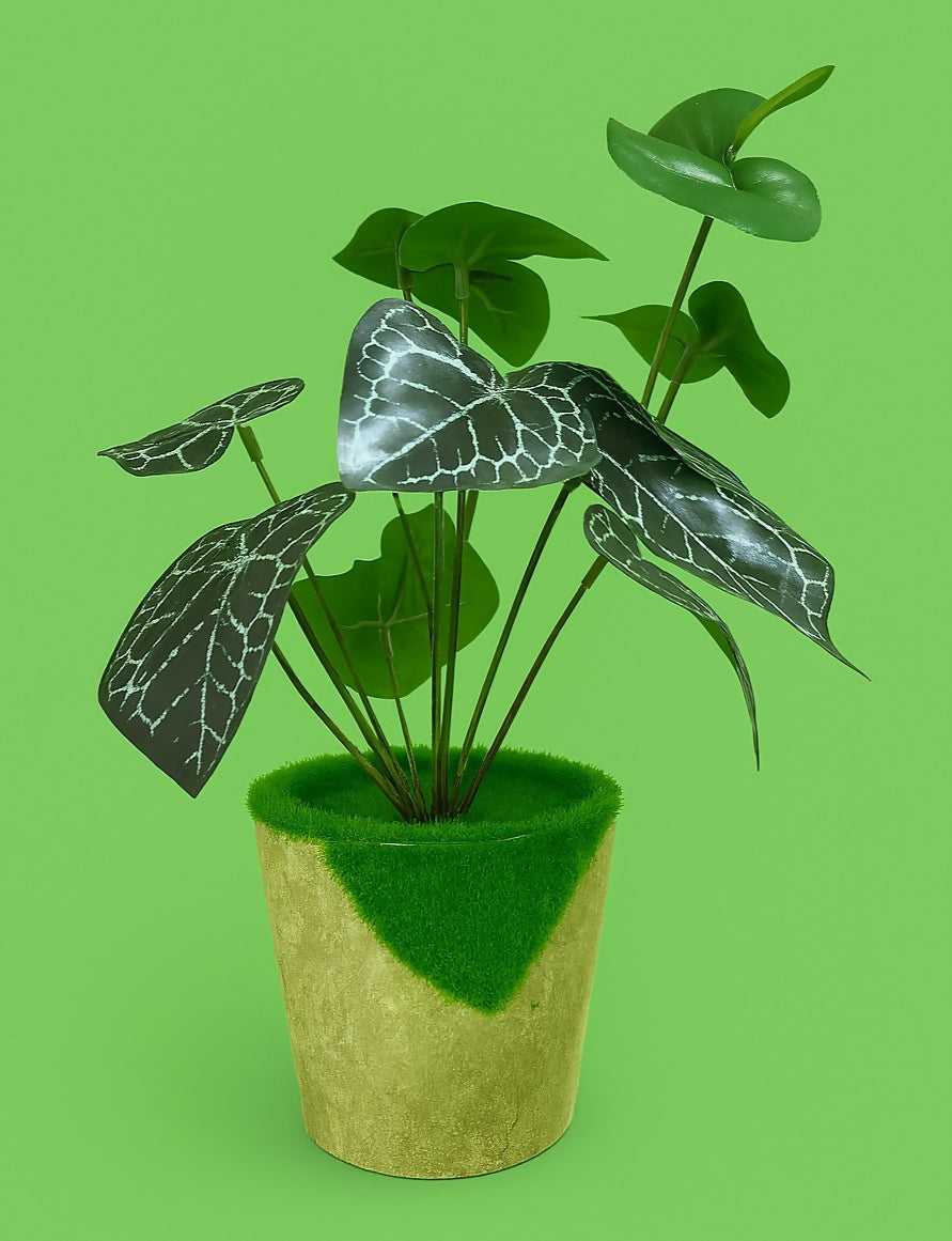 Artificial Alocasia Black Velvet Decorative Plant in Beige Pot – Faux Indoor Plant for Home, Office, and Tabletop Décor