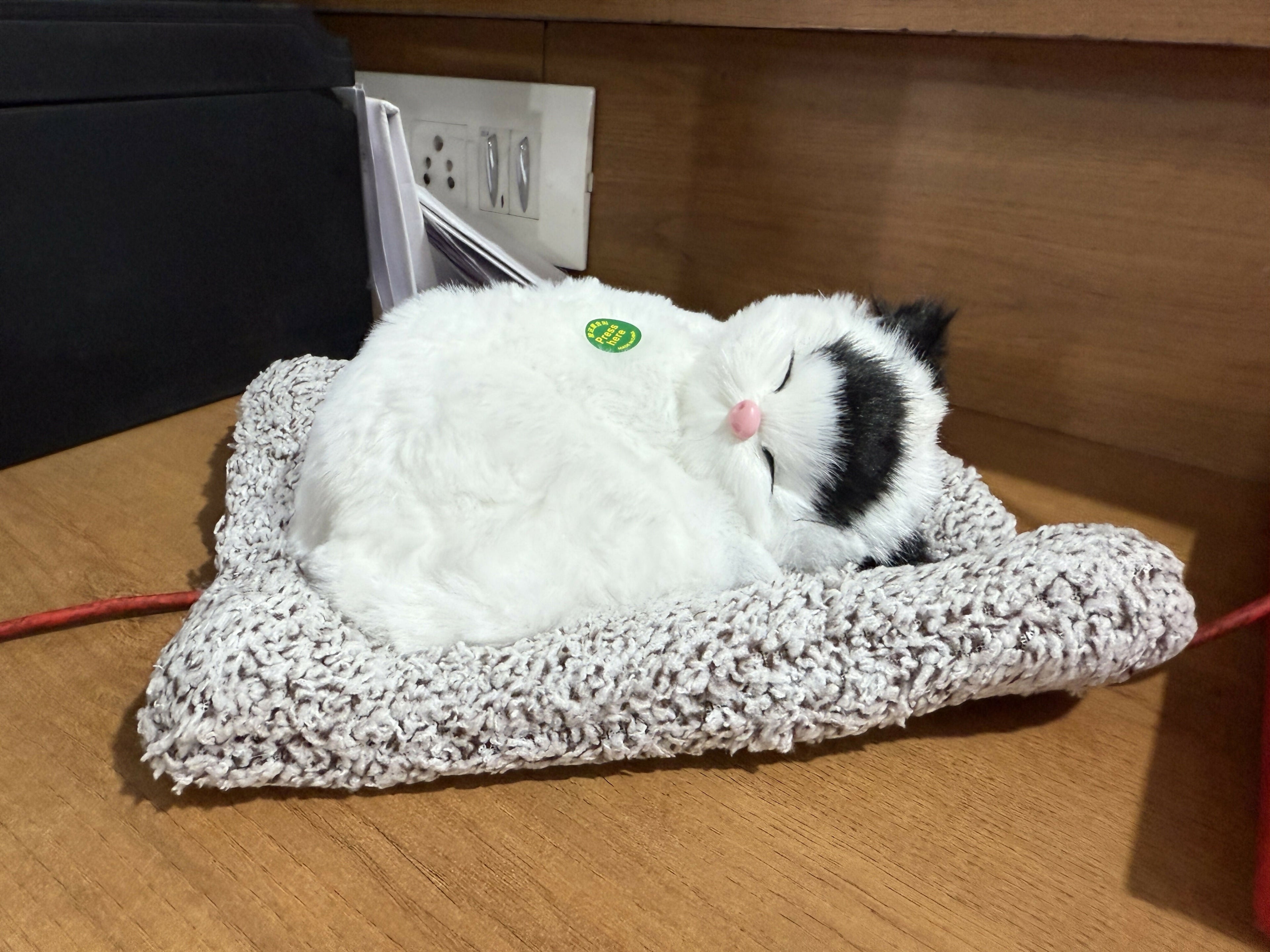 Realistic Sleeping Cat Plush Toy on Soft Bed – Lifelike Breathing Pet Cat Doll – Faux Fur Stuffed Animal with Pillow – Cute Home Decor Gift for Kids & Adults – White & Black