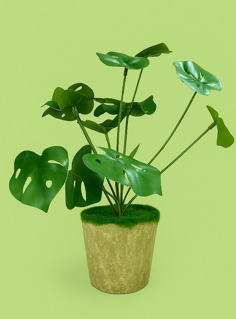 Artificial Monstera Leaf Plant with Beige Velvet Pot – Decorative Faux Swiss Cheese Plant for Home and Office Tabletop Décor
